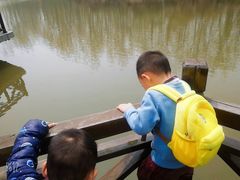 -合肥滨湖国家森林公园