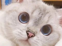 -奈雪的茶(来福士广场店)