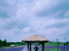-紫颐香薰山谷景区