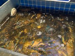 -熊记虾王·小龙虾(东晓南店)