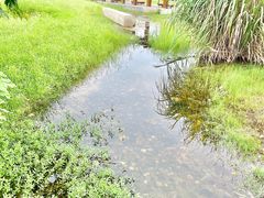 -桂溪生态公园