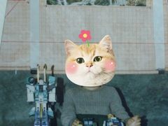 -武汉华夏国际影城(鲁广店)