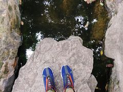 -静安公园(静安寺街道)