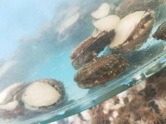 -晓伟海鲜家常菜