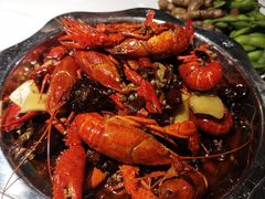 -大孩龙虾(体育场旗舰店)