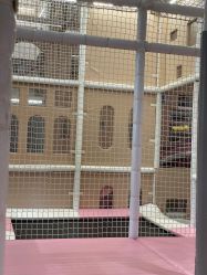 -超级奈尔宝SUPER NEOBIO(杭州星光店)