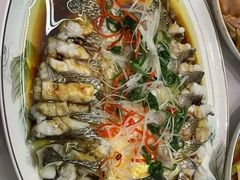 -杨厨生活餐厅(黄兴大道店)