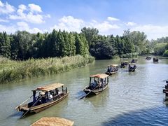 -溱湖国家湿地公园