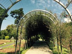 -人民公园(罗湖区)