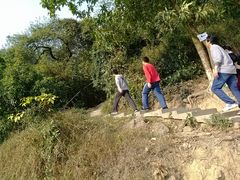 路面-火炉山森林公园