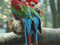 -杭州野生动物世界