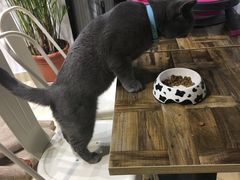 -小时光咖啡馆(开森度假森林店)