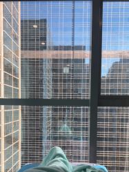 点击看大图 -北京米扬丽格医疗美容·联合丽格鼻整形中心