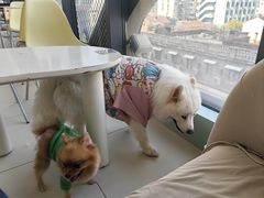 -怪兽屋·羊驼·猫咖·狗咖(俊华广场店)