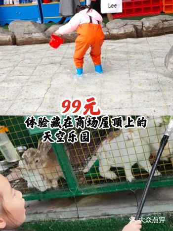99元体验藏在商场屋顶上的天空乐园