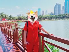 -万绿园
