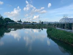 -马陆小张葡萄园农家乐