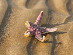 -青岛石老人海水浴场
