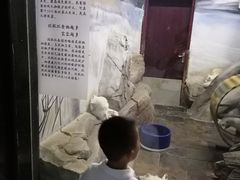 -梦幻海洋王国(吾悦广场张家港店)