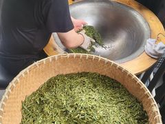 -阿巧茶庄