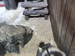 -海合安青岛极地海洋公园