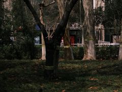 -西清公园