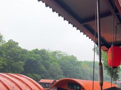 -侨美·唐荔园·40年地道粤菜