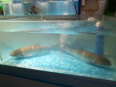 -东川新街市(东川市场店)