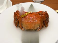 -觀芷隐轩