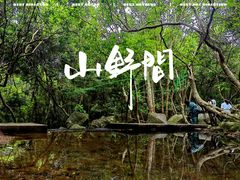 -马峦山郊野公园