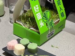 -海底捞火锅(龙岗星河COCO Park店)