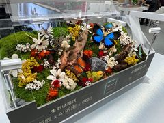 -胜达影像·佳能哈苏索尼