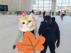 -世纪星滑冰俱乐部(万象城店)