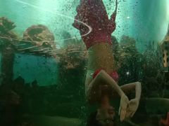 -瑞德姆美人鱼海底演艺主题餐厅(亚龙湾店)