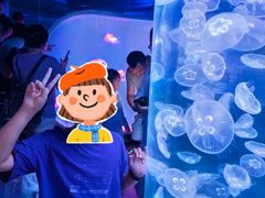 -芜湖新华联大白鲸海洋公园