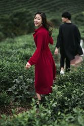 -苏菲亚婚纱影楼尊爵店(昆区店)