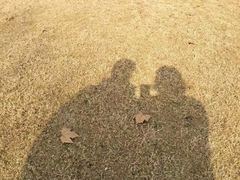 -宜兴龙背山森林公园