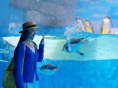 -海合安成都极地海洋公园