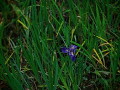 -苏州河梦清园环保主题公园