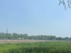 -合肥滨湖国家森林公园