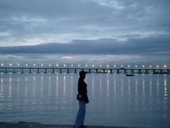 -宝安西湾红树林湿地公园