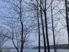 -盘龙城国家考古遗址公园