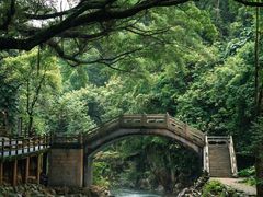 -广州市石门国家森林公园