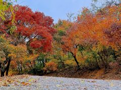 -香山公园