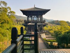 -大唐贡茶院