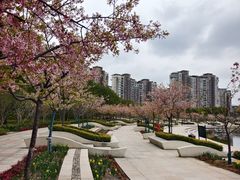 -新江湾城公园