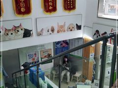 -爱侣宠医·鹦鹉专科·小型哺乳类·异宠专科(灵石路店)