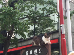 门面-多米餐厅(文涵路店)