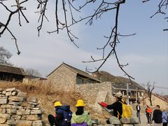 -佳禾国际美术书法教育(仁恒伊势丹校区)