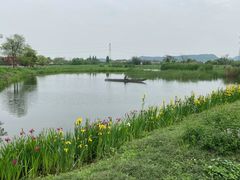 -良渚文化村